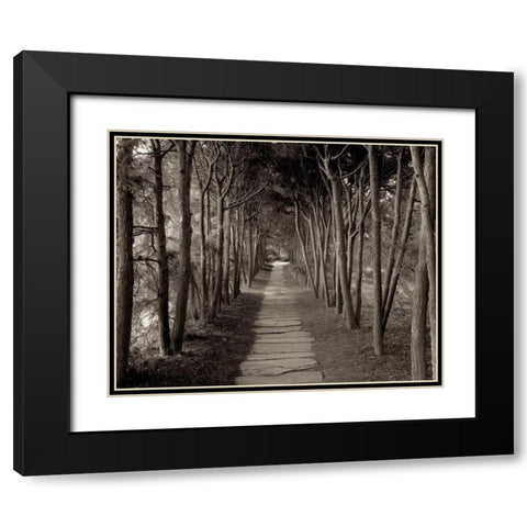 Banc de Jardin - 75 Black Modern Wood Framed Art Print with Double Matting by Blaustein, Alan