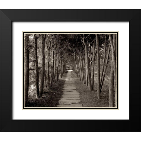 Banc de Jardin - 75 Black Modern Wood Framed Art Print with Double Matting by Blaustein, Alan