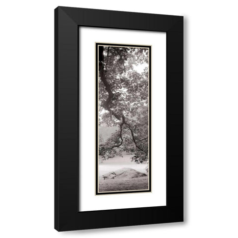 Hampton Field Tree - 1 Black Modern Wood Framed Art Print with Double Matting by Blaustein, Alan