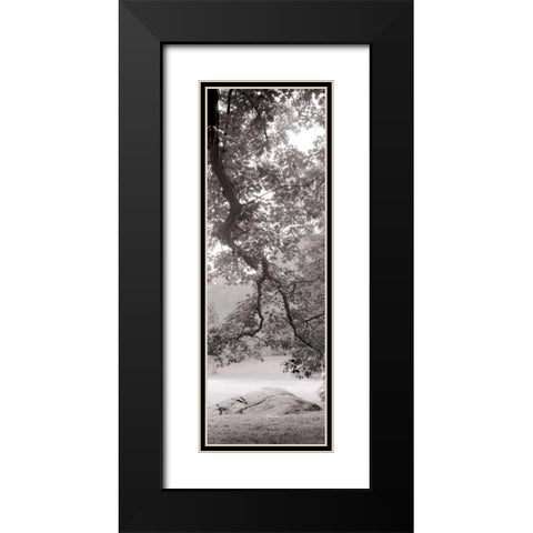 Hampton Field Tree - 1 Black Modern Wood Framed Art Print with Double Matting by Blaustein, Alan