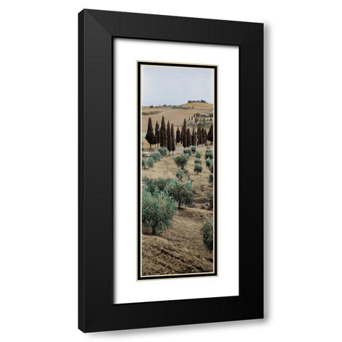 Tuscany - 13 Black Modern Wood Framed Art Print with Double Matting by Blaustein, Alan