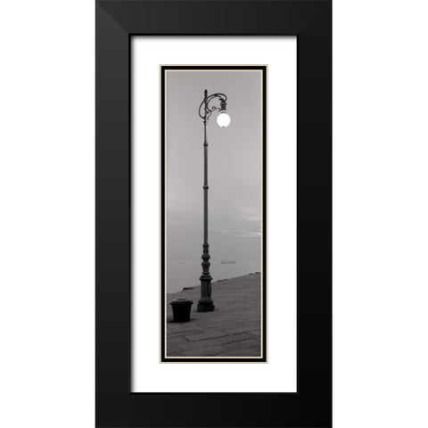 Treiste - 1 Black Modern Wood Framed Art Print with Double Matting by Blaustein, Alan