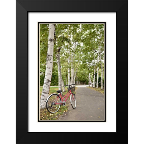 Japan Bicycle - 20 Black Modern Wood Framed Art Print with Double Matting by Blaustein, Alan