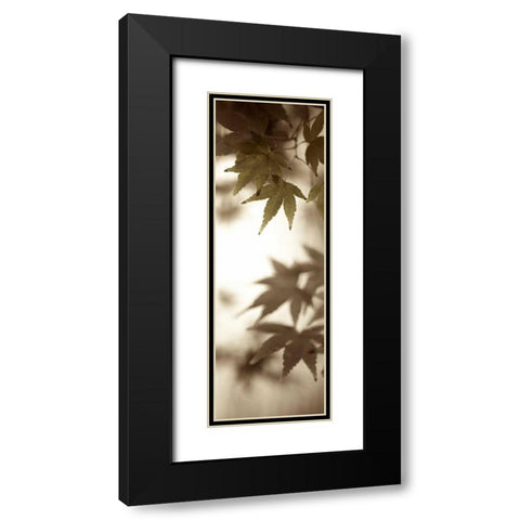 Florison - 97 Black Modern Wood Framed Art Print with Double Matting by Blaustein, Alan