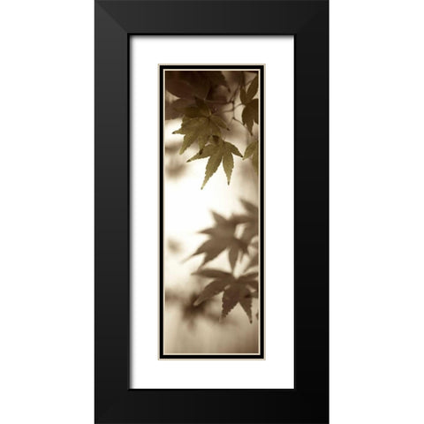 Florison - 97 Black Modern Wood Framed Art Print with Double Matting by Blaustein, Alan