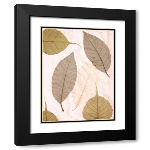 Floral - 23 Black Modern Wood Framed Art Print with Double Matting by Blaustein, Alan