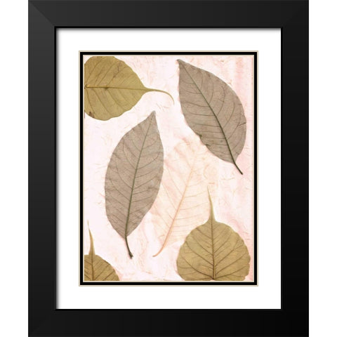 Floral - 23 Black Modern Wood Framed Art Print with Double Matting by Blaustein, Alan