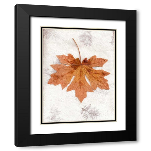 LF - 25 Black Modern Wood Framed Art Print with Double Matting by Blaustein, Alan