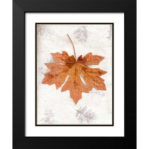 LF - 25 Black Modern Wood Framed Art Print with Double Matting by Blaustein, Alan