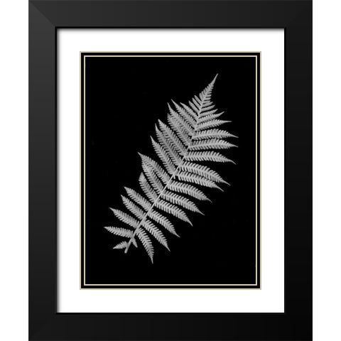 Floral B-W - 18 Black Modern Wood Framed Art Print with Double Matting by Blaustein, Alan