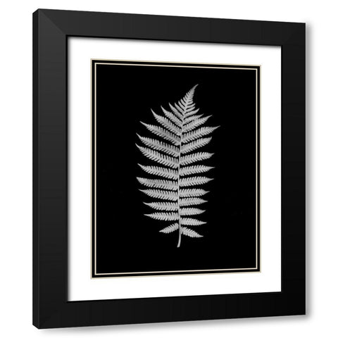 Floral B-W - 19 Black Modern Wood Framed Art Print with Double Matting by Blaustein, Alan