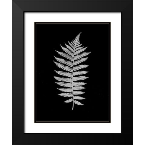 Floral B-W - 19 Black Modern Wood Framed Art Print with Double Matting by Blaustein, Alan