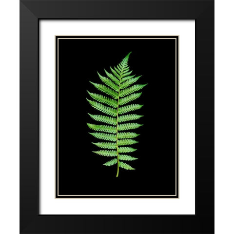 Floral Color - 19 Black Modern Wood Framed Art Print with Double Matting by Blaustein, Alan