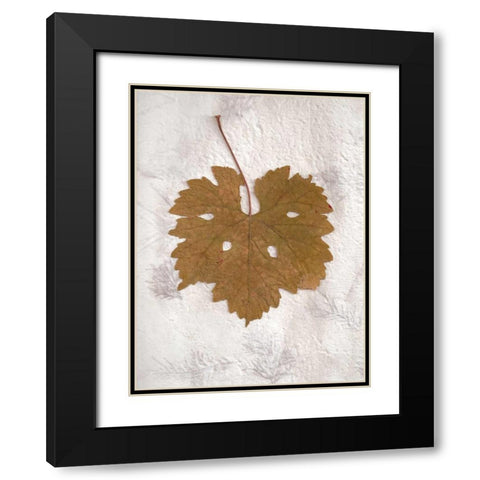 Floral - 28 Black Modern Wood Framed Art Print with Double Matting by Blaustein, Alan