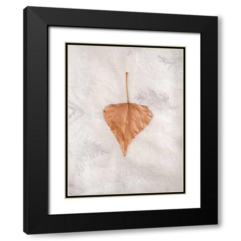 Floral - 29 Black Modern Wood Framed Art Print with Double Matting by Blaustein, Alan