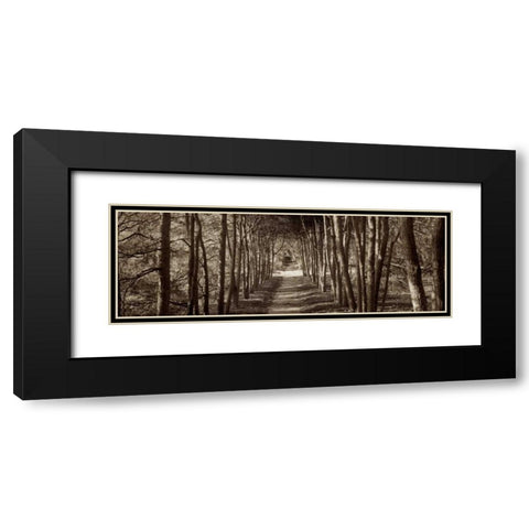 Hampton Gates Promenade - 2 Black Modern Wood Framed Art Print with Double Matting by Blaustein, Alan