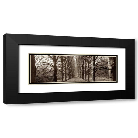 Hampton Gates Promenade - 1 Black Modern Wood Framed Art Print with Double Matting by Blaustein, Alan
