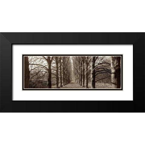 Hampton Gates Promenade - 1 Black Modern Wood Framed Art Print with Double Matting by Blaustein, Alan