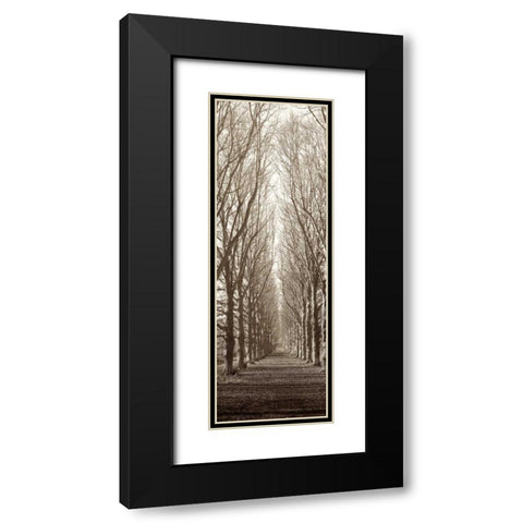 Hampton Gates Promenade Black Modern Wood Framed Art Print with Double Matting by Blaustein, Alan