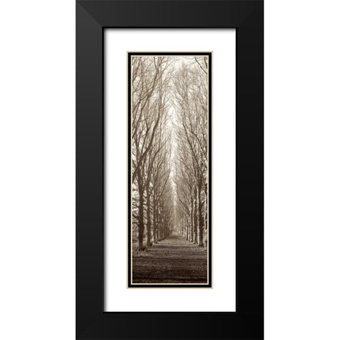 Hampton Gates Promenade Black Modern Wood Framed Art Print with Double Matting by Blaustein, Alan