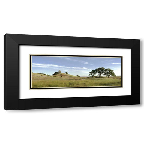 Oak Tree - 82 Black Modern Wood Framed Art Print with Double Matting by Blaustein, Alan