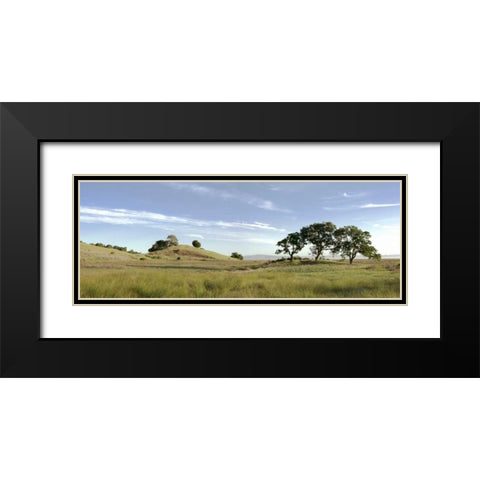 Oak Tree - 82 Black Modern Wood Framed Art Print with Double Matting by Blaustein, Alan