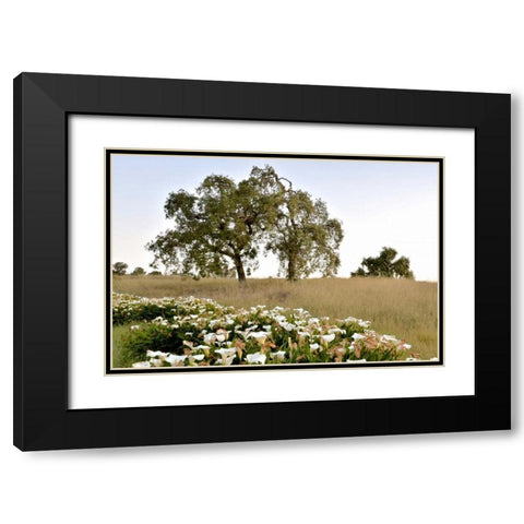 Oak Tree - 94 Black Modern Wood Framed Art Print with Double Matting by Blaustein, Alan