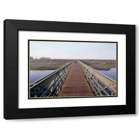 Lagoon Bridge - 1 Black Modern Wood Framed Art Print with Double Matting by Blaustein, Alan