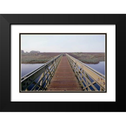 Lagoon Bridge - 1 Black Modern Wood Framed Art Print with Double Matting by Blaustein, Alan