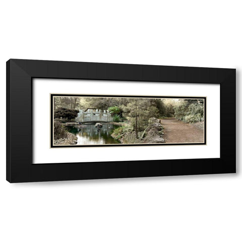 Golden Gate Park - 11 Black Modern Wood Framed Art Print with Double Matting by Blaustein, Alan