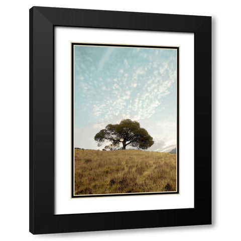 Oak Tree - 12 Black Modern Wood Framed Art Print with Double Matting by Blaustein, Alan
