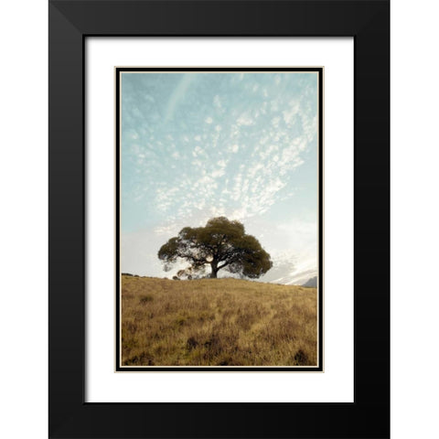 Oak Tree - 12 Black Modern Wood Framed Art Print with Double Matting by Blaustein, Alan