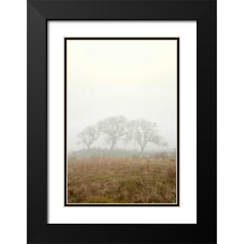 Oak Tree - 17 Black Modern Wood Framed Art Print with Double Matting by Blaustein, Alan