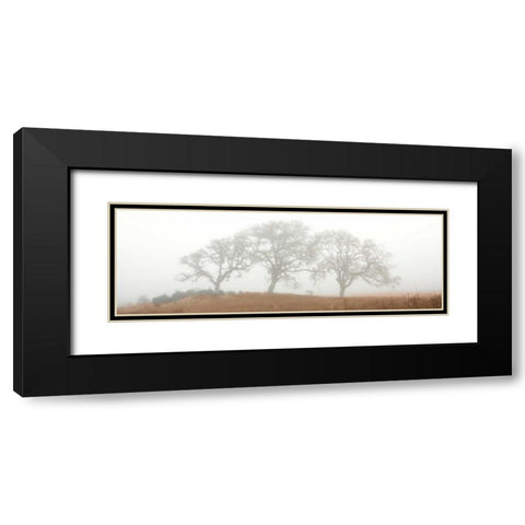 Oak Tree - 15 Black Modern Wood Framed Art Print with Double Matting by Blaustein, Alan