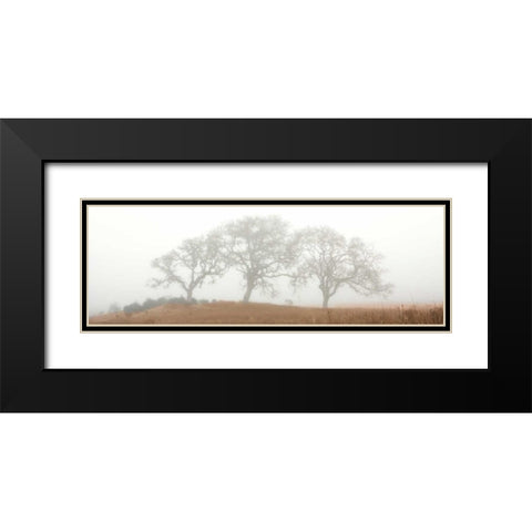 Oak Tree - 15 Black Modern Wood Framed Art Print with Double Matting by Blaustein, Alan