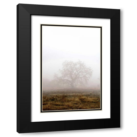 Oak Tree - 29 Black Modern Wood Framed Art Print with Double Matting by Blaustein, Alan