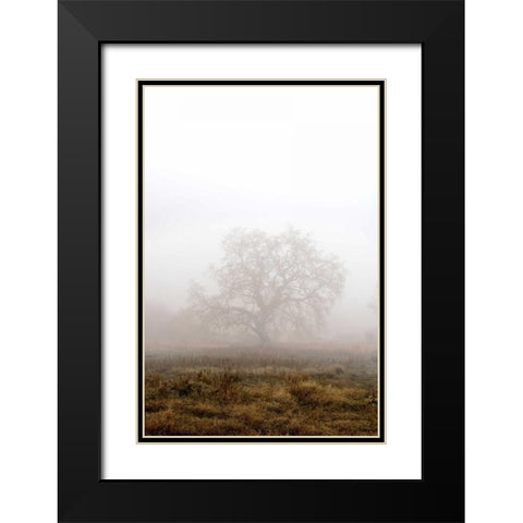 Oak Tree - 29 Black Modern Wood Framed Art Print with Double Matting by Blaustein, Alan