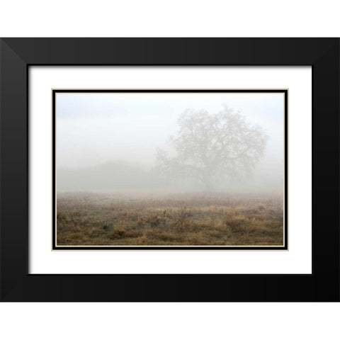 Oak Tree - 28 Black Modern Wood Framed Art Print with Double Matting by Blaustein, Alan