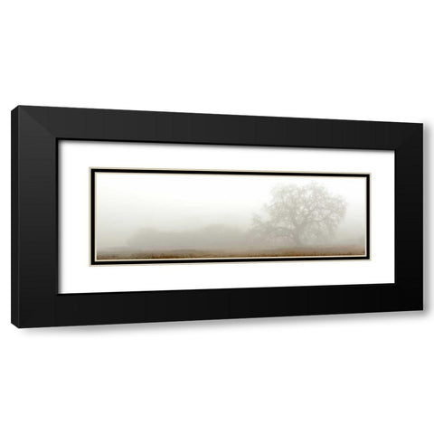 Oak Tree - 27 Black Modern Wood Framed Art Print with Double Matting by Blaustein, Alan
