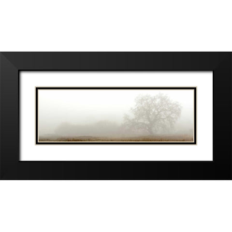 Oak Tree - 27 Black Modern Wood Framed Art Print with Double Matting by Blaustein, Alan
