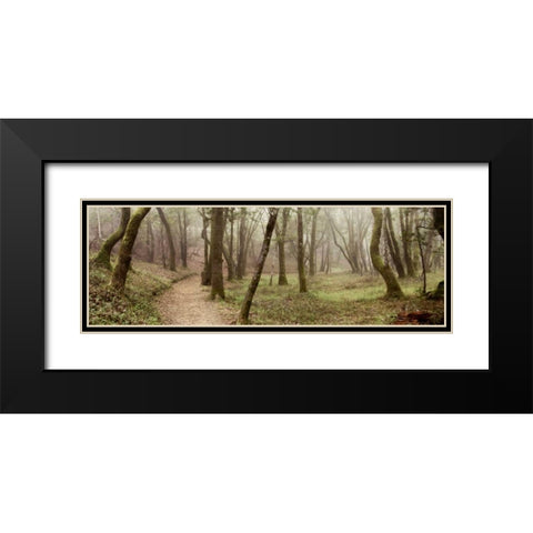 Oak Tree - 20 Black Modern Wood Framed Art Print with Double Matting by Blaustein, Alan