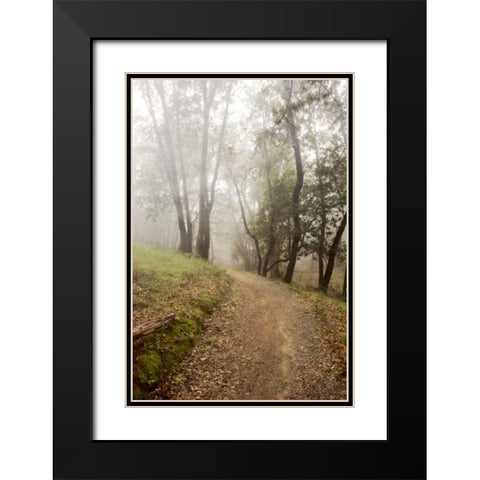 Oak Tree - 19 Black Modern Wood Framed Art Print with Double Matting by Blaustein, Alan