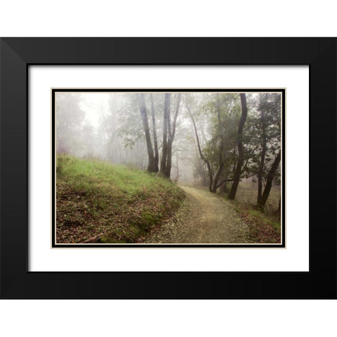 Oak Tree - 18 Black Modern Wood Framed Art Print with Double Matting by Blaustein, Alan