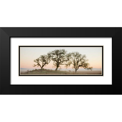 Oak Tree - 30 Black Modern Wood Framed Art Print with Double Matting by Blaustein, Alan