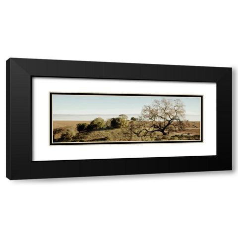 Oak Tree - 37 Black Modern Wood Framed Art Print with Double Matting by Blaustein, Alan