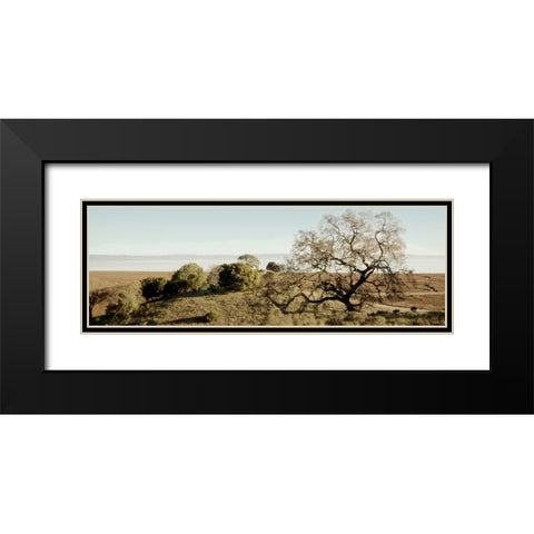 Oak Tree - 37 Black Modern Wood Framed Art Print with Double Matting by Blaustein, Alan