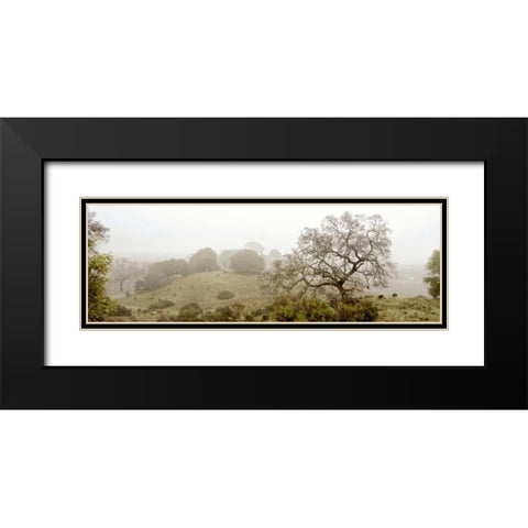 Oak Tree - 41 Black Modern Wood Framed Art Print with Double Matting by Blaustein, Alan