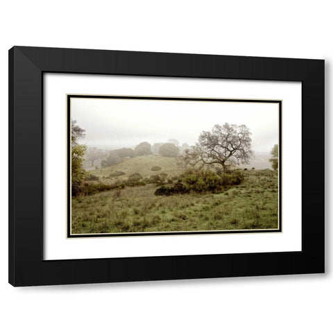 Oak Tree - 42 Black Modern Wood Framed Art Print with Double Matting by Blaustein, Alan