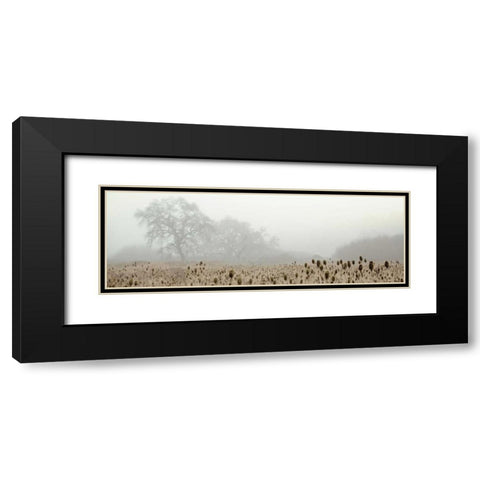 Oak Tree - 60 Black Modern Wood Framed Art Print with Double Matting by Blaustein, Alan