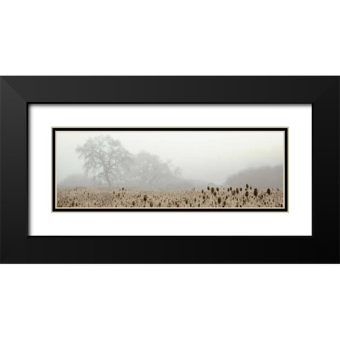 Oak Tree - 60 Black Modern Wood Framed Art Print with Double Matting by Blaustein, Alan